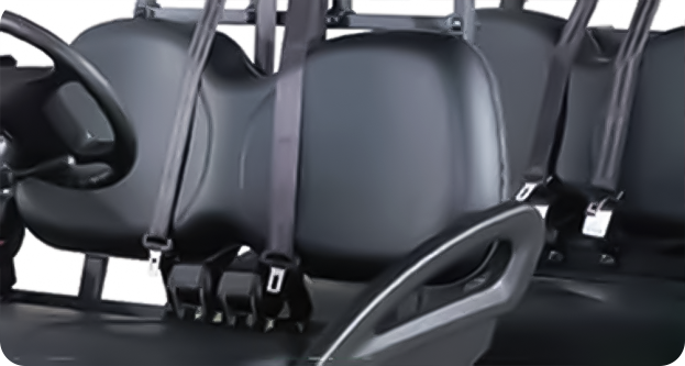 Option 6: Executive Black upholstery